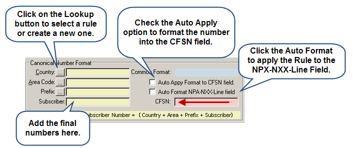 Phone Number Format Options